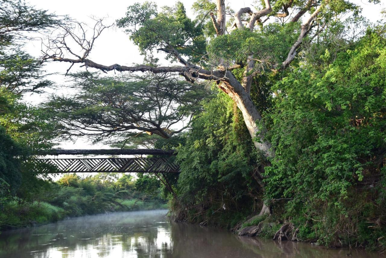 فندق Fig Tree Camp - Maasai Mara تاليك المظهر الخارجي الصورة