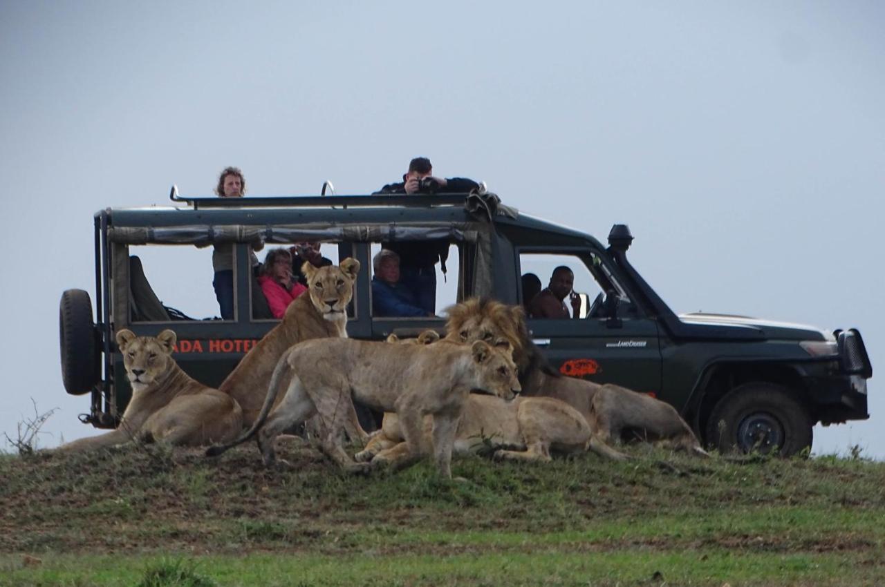 فندق Fig Tree Camp - Maasai Mara تاليك المظهر الخارجي الصورة