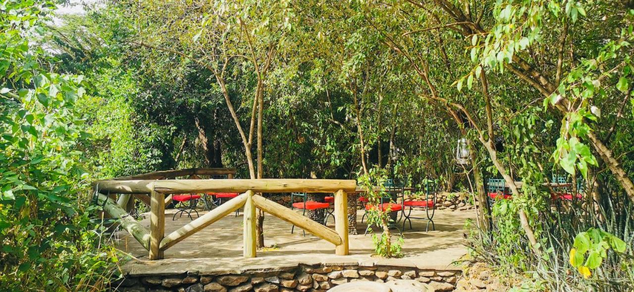 فندق Fig Tree Camp - Maasai Mara تاليك المظهر الخارجي الصورة