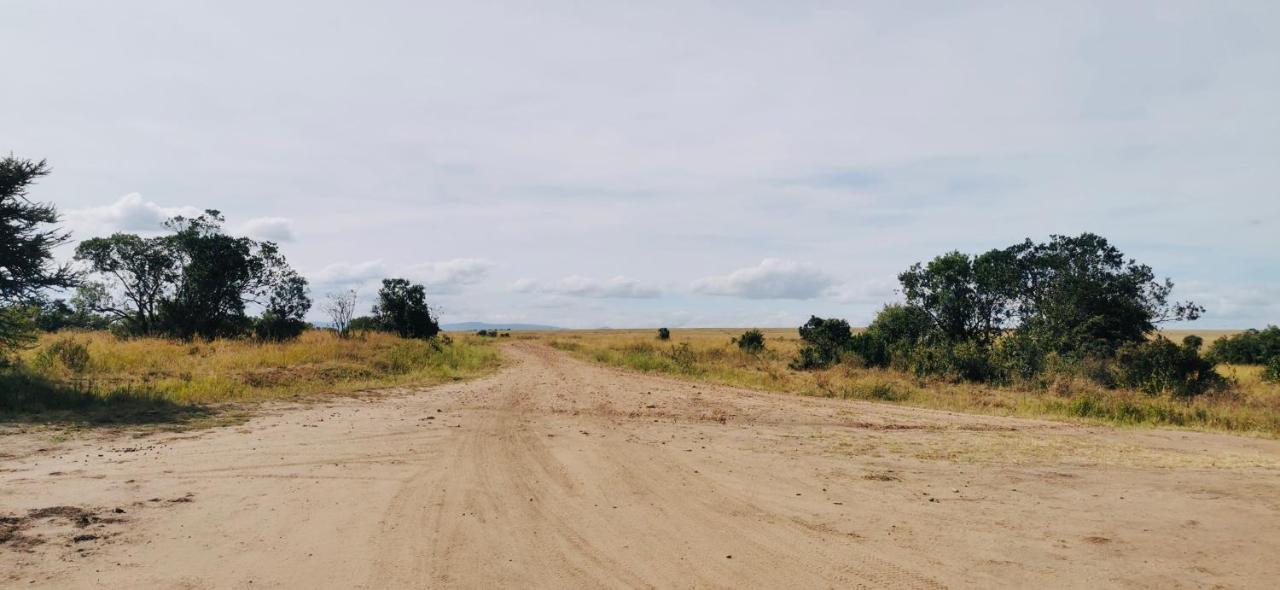 فندق Fig Tree Camp - Maasai Mara تاليك المظهر الخارجي الصورة