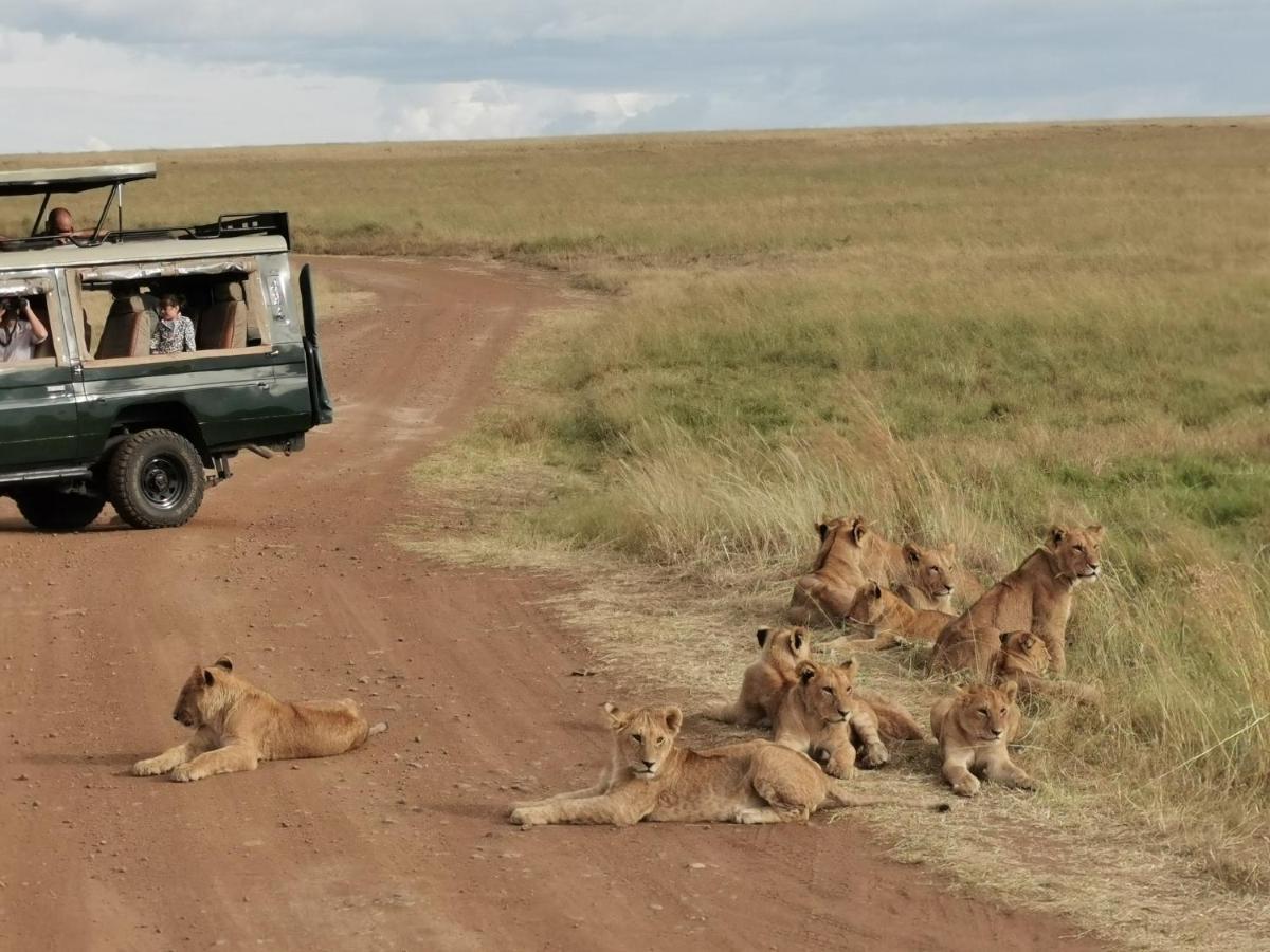فندق Fig Tree Camp - Maasai Mara تاليك المظهر الخارجي الصورة