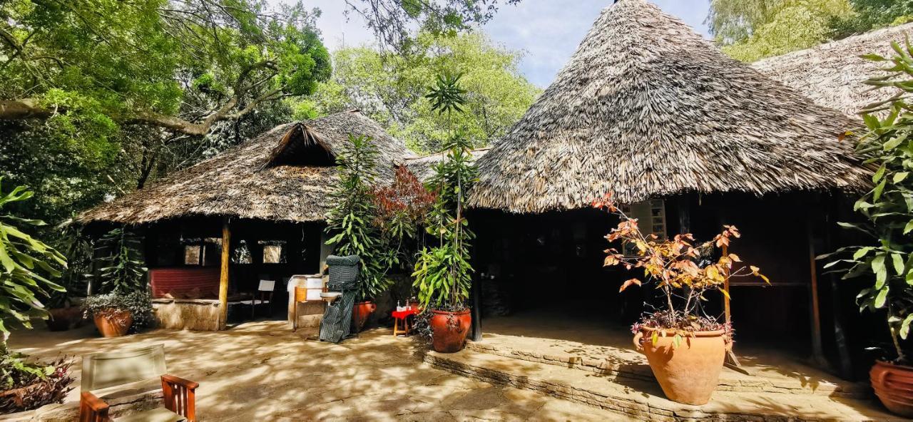 فندق Fig Tree Camp - Maasai Mara تاليك المظهر الخارجي الصورة