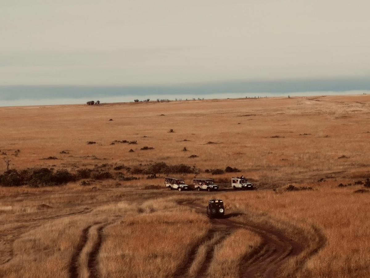 فندق Fig Tree Camp - Maasai Mara تاليك المظهر الخارجي الصورة