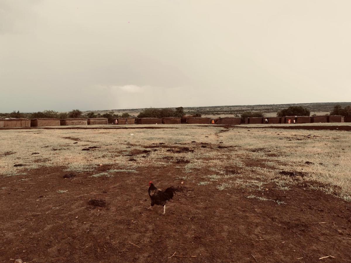 فندق Fig Tree Camp - Maasai Mara تاليك المظهر الخارجي الصورة