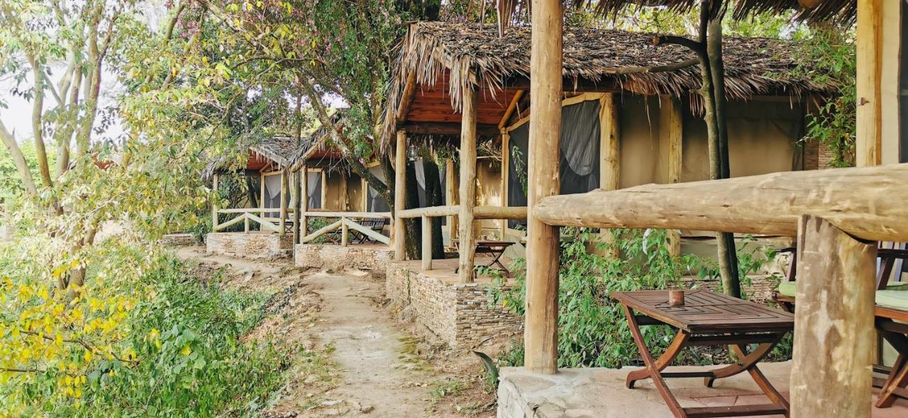 فندق Fig Tree Camp - Maasai Mara تاليك المظهر الخارجي الصورة