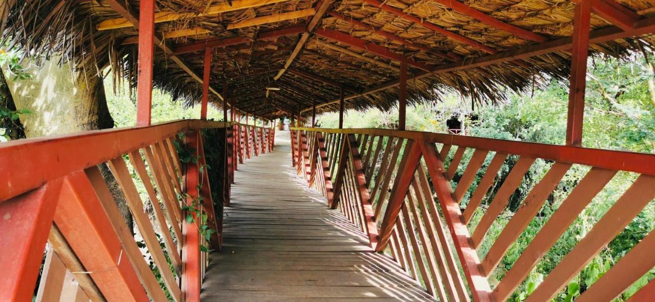 فندق Fig Tree Camp - Maasai Mara تاليك المظهر الخارجي الصورة