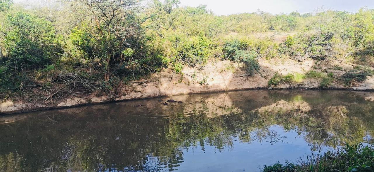 فندق Fig Tree Camp - Maasai Mara تاليك المظهر الخارجي الصورة