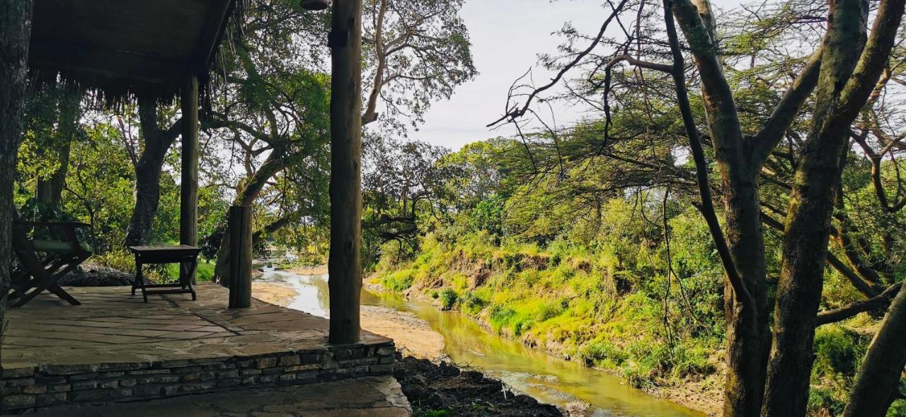فندق Fig Tree Camp - Maasai Mara تاليك المظهر الخارجي الصورة