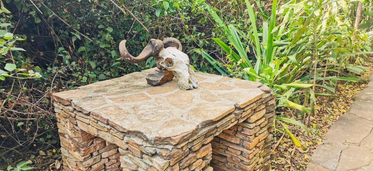 فندق Fig Tree Camp - Maasai Mara تاليك المظهر الخارجي الصورة