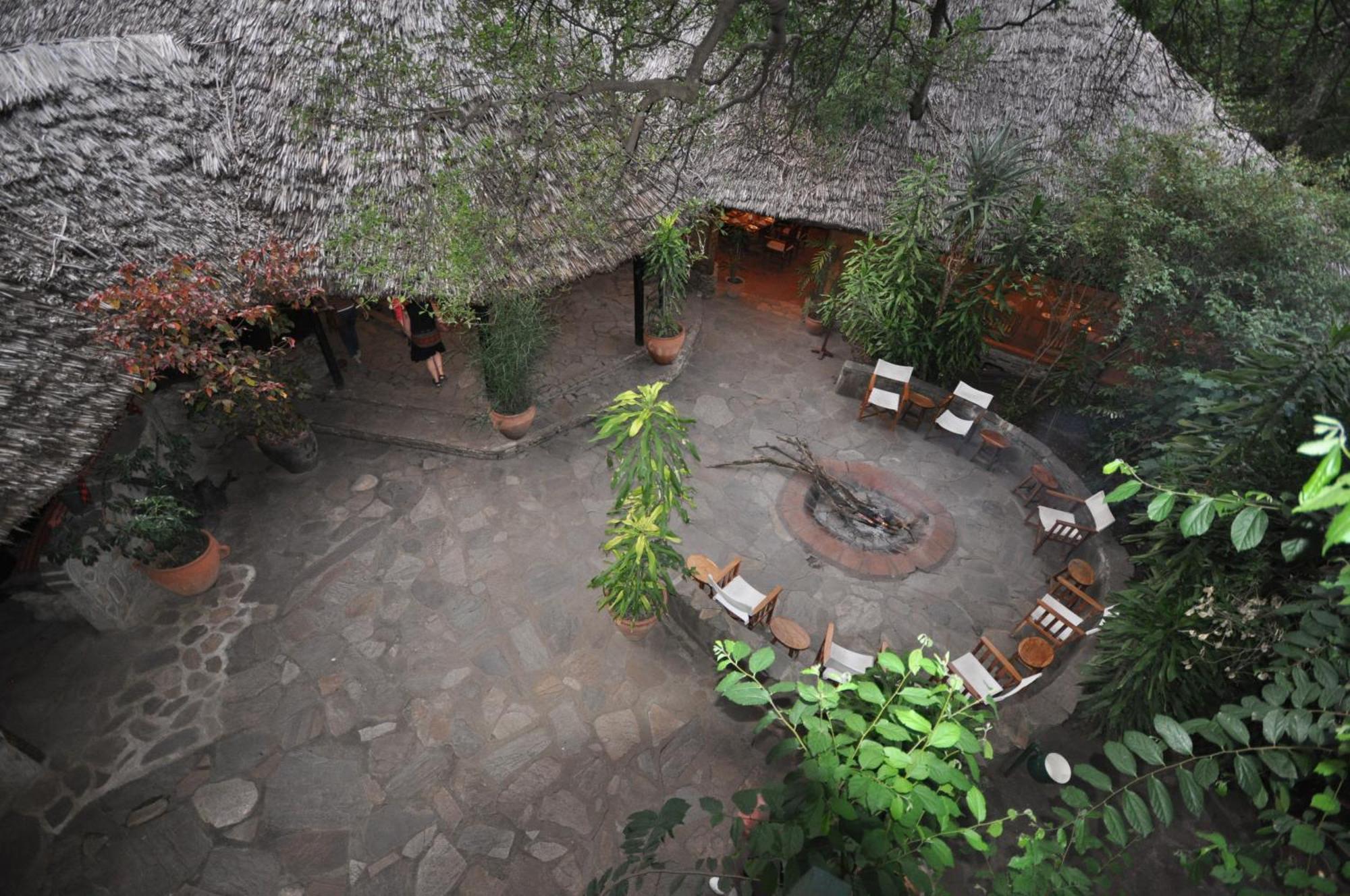 فندق Fig Tree Camp - Maasai Mara تاليك المظهر الخارجي الصورة